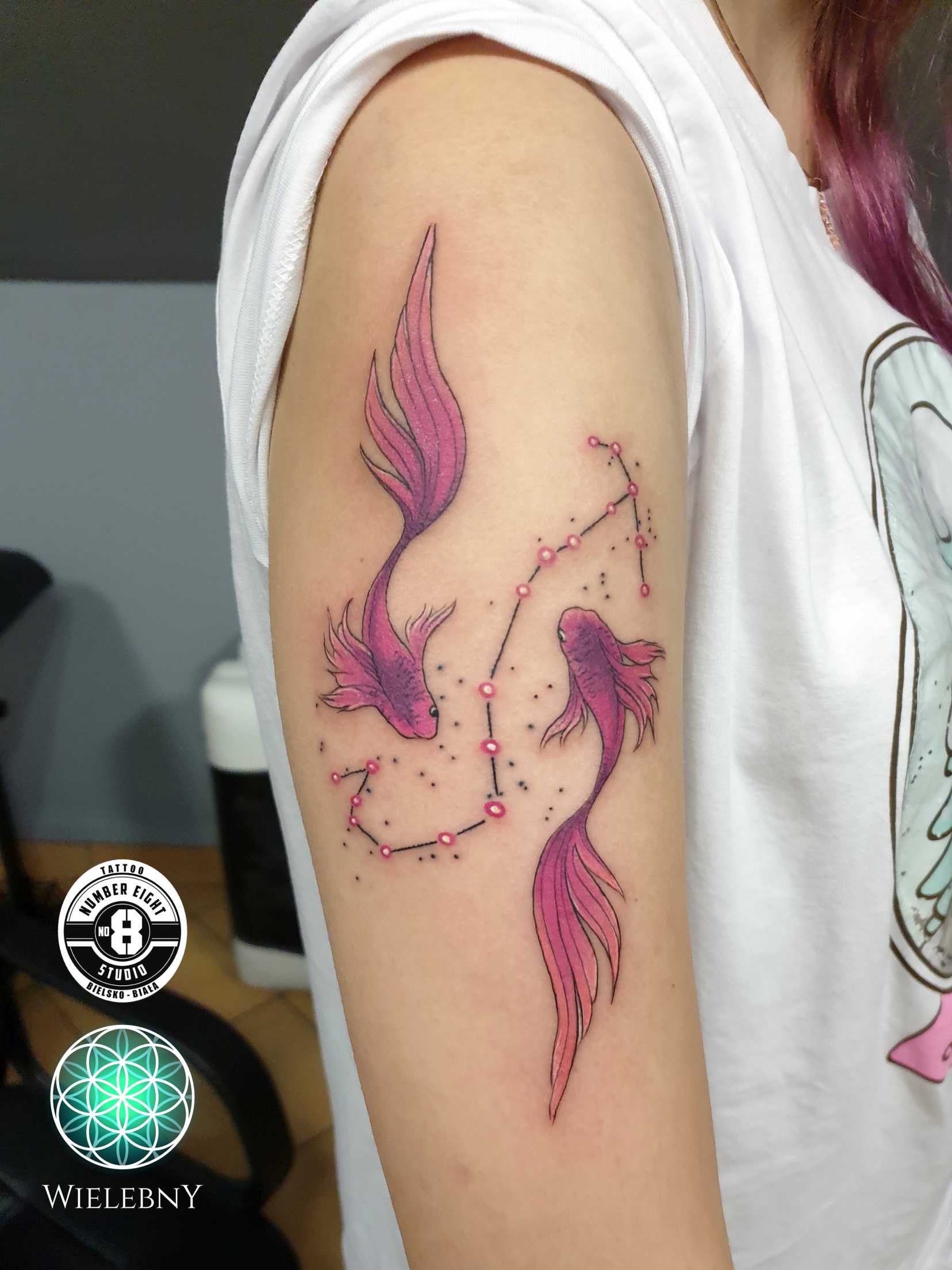 constellation horoscope